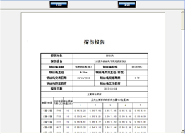 電梯亚洲AV无码精品蜜桃自動探傷係統檢測報告